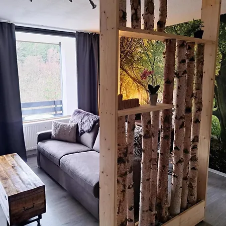 Apartament Renoviertes In Winterberg, Cleaning Included *
